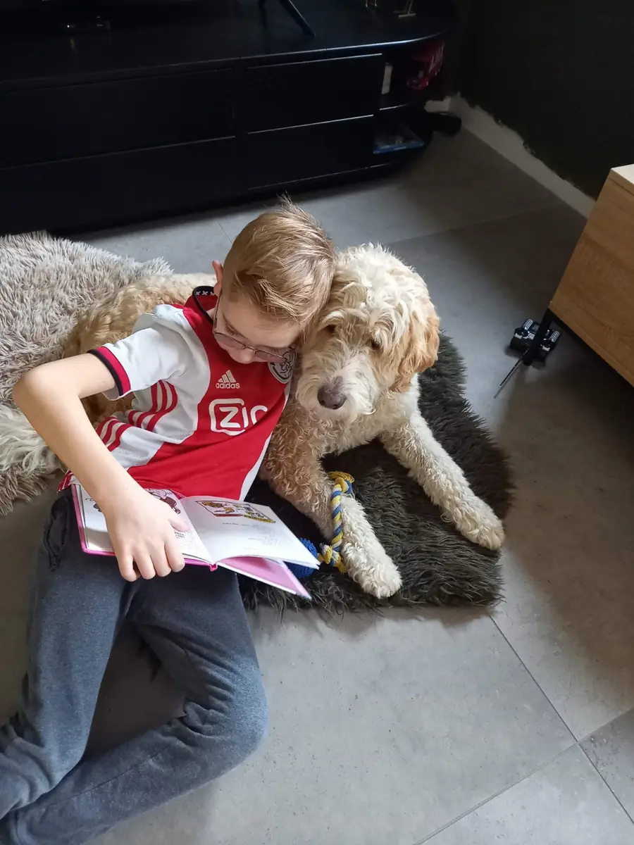Lesestunde mit Therapiehund Oscar (6+) — Heerhugowaard, Bibliotheek Centrum, Heerhugowaard