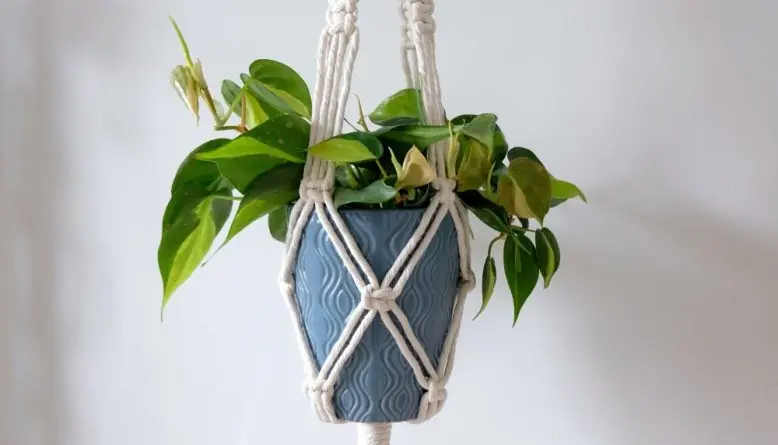 Dag & Dauw: Macramé plantenhanger maken — Alkmaar, Bibliotheek De Mare, Alkmaar