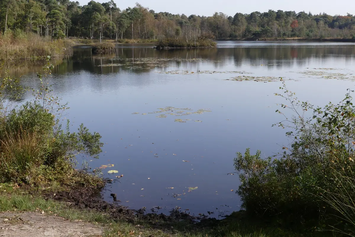 Bezoekerscentrum Oisterwijkse Bossen en Vennen