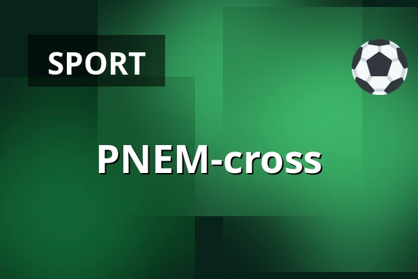 PNEM-cross