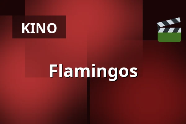 Flamingos — Zaal 4 LantarenVenster, Rotterdam