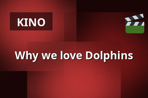 Why we love Dolphins — Zaal 4 LantarenVenster, Rotterdam