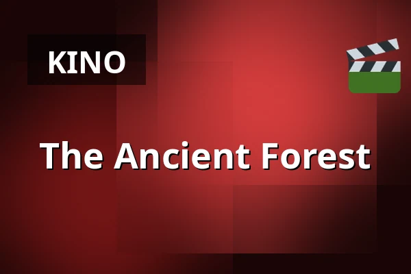 The Ancient Forest — Zaal 4 LantarenVenster, Rotterdam