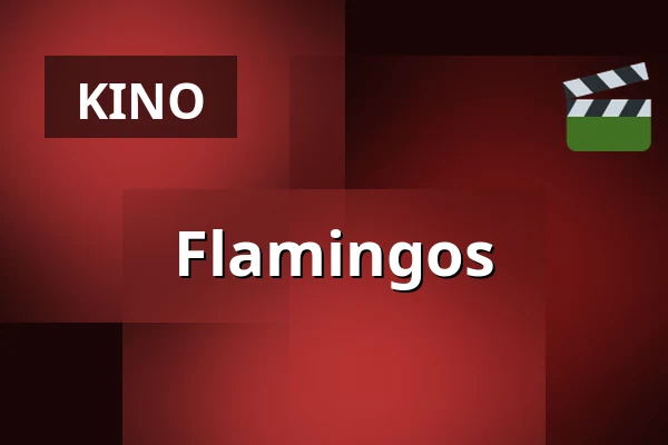 Flamingos — Zaal 7 Cinerama, Rotterdam