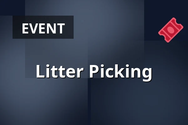 Litter Picking — St. WijKerenshei, Stein