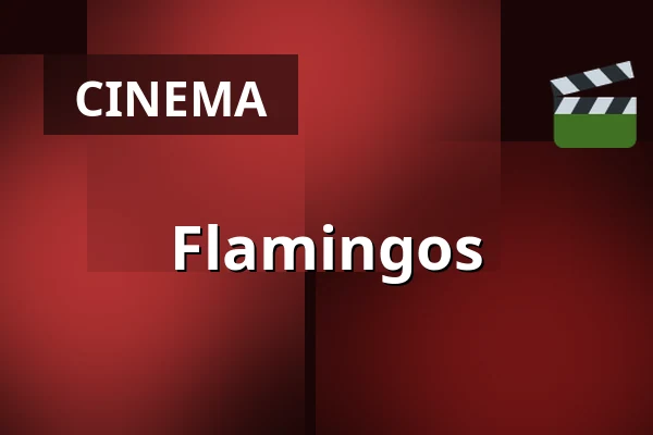 Flamingos — Zaal 4 LantarenVenster, Rotterdam