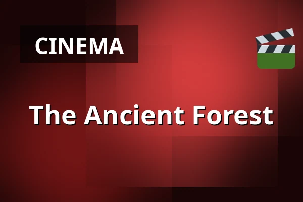 The Ancient Forest — Zaal 4 LantarenVenster, Rotterdam