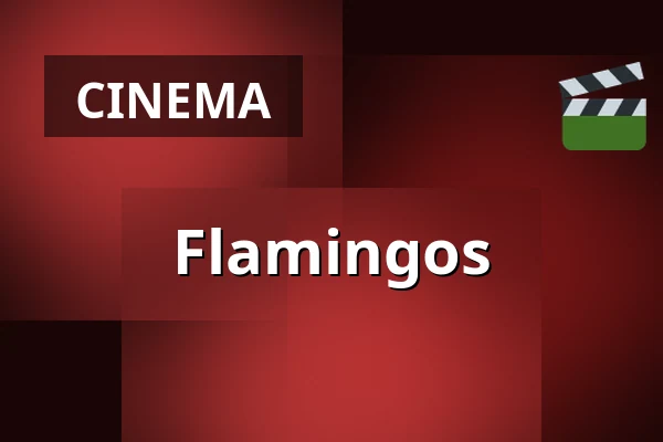 Flamingos — Zaal 7 Cinerama, Rotterdam
