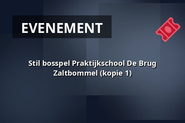 Stil bosspel Praktijkschool De Brug Zaltbommel (kopie 1) — Volkel
