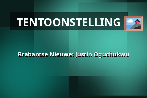 Brabantse Nieuwe: Justin Oguchukwu — Het Noordbrabants Museum, 's-Hertogenbosch