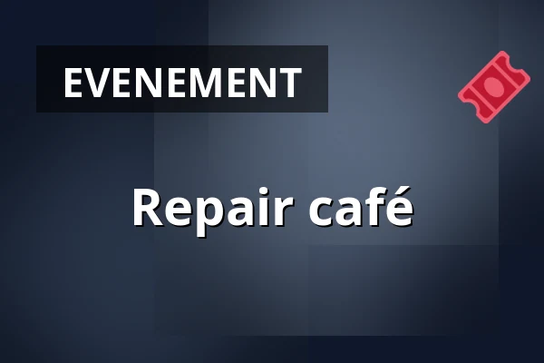 Repair café — Dorpsdagvoorziening Meers, Stein
