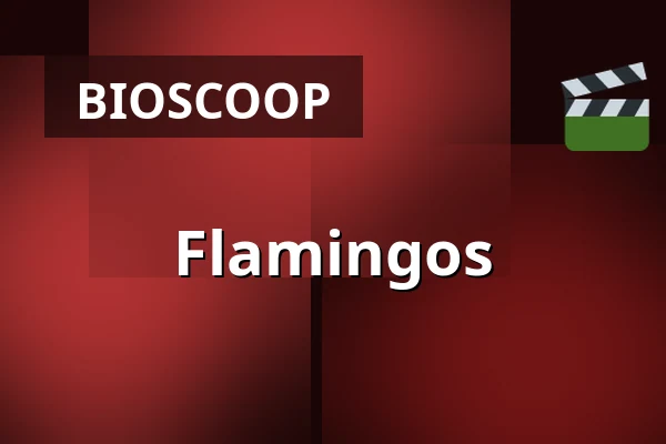 Flamingos — Zaal 4 LantarenVenster, Rotterdam