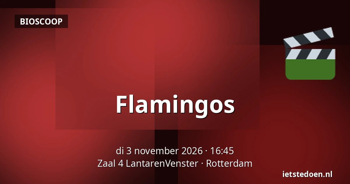 Flamingos — Zaal 4 LantarenVenster, Rotterdam