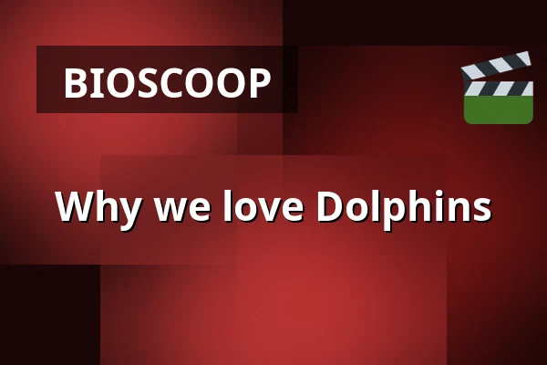 Why we love Dolphins — Zaal 4 LantarenVenster, Rotterdam
