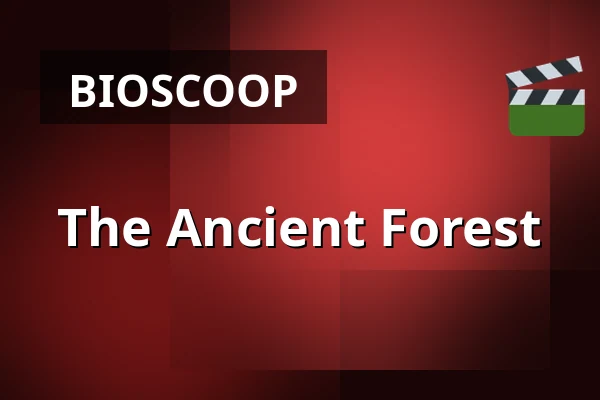 The Ancient Forest — Zaal 4 LantarenVenster, Rotterdam