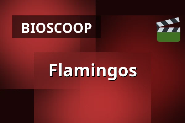 Flamingos — Zaal 7 Cinerama, Rotterdam